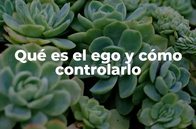 Qué es el Ego y Cómo Controlarlo 2 La lucha interna entre identidad y humildad