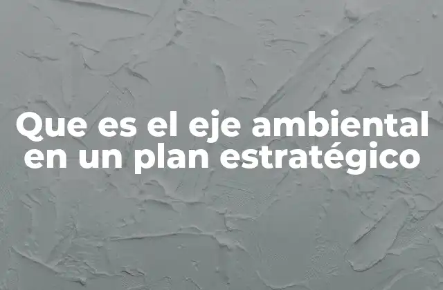 La importancia del eje ambiental en la toma de decisiones organizacionales
