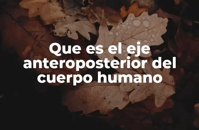 Que es el Eje Anteroposterior Del Cuerpo Humano