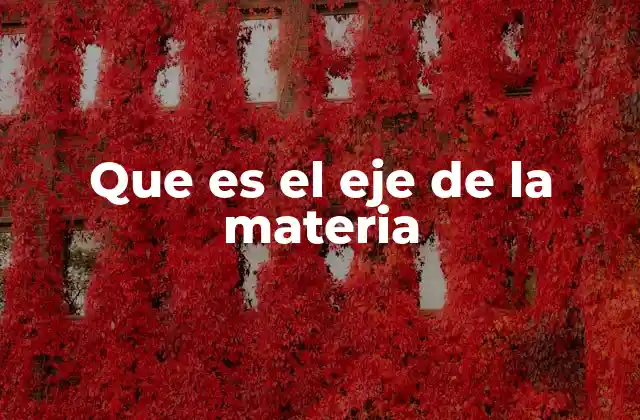 Que es el Eje de la Materia