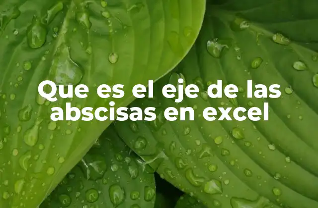 Que es el Eje de las Abscisas en Excel