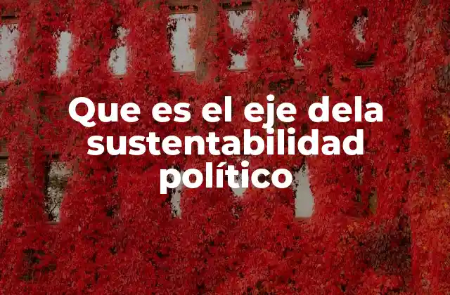 La intersección entre política y sostenibilidad