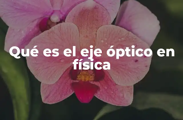 Qué es el Eje Óptico en Física