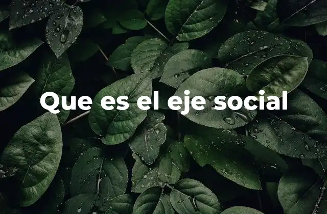 Que es el Eje Social