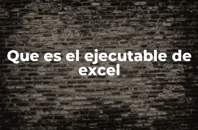 Que es el Ejecutable de Excel