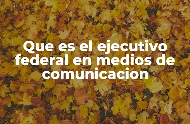 Que es el Ejecutivo Federal en Medios de Comunicacion