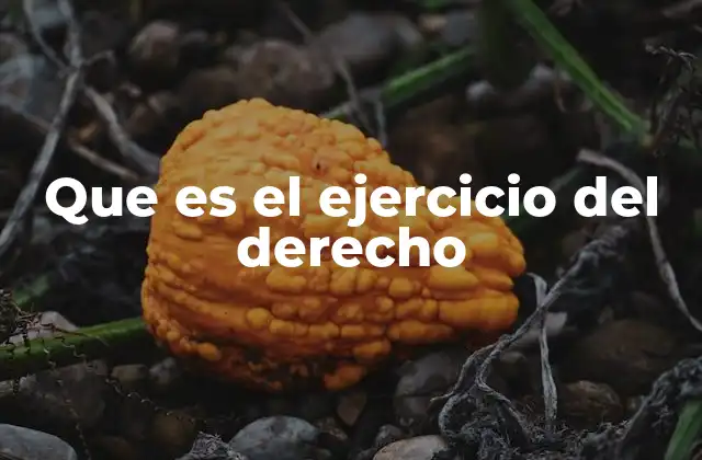 Que es el Ejercicio Del Derecho