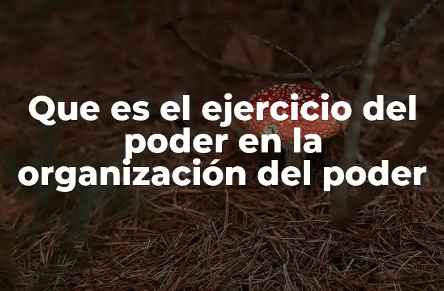 Que es el Ejercicio Del Poder en la Organización Del Poder 2 Las dinámicas del poder en entornos organizacionales