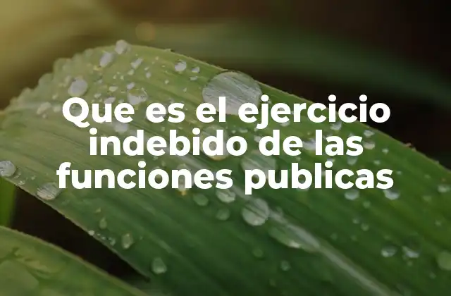 Que es el Ejercicio Indebido de las Funciones Publicas