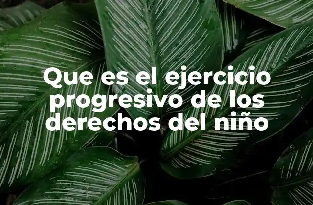 Que es el Ejercicio Progresivo de los Derechos Del Niño