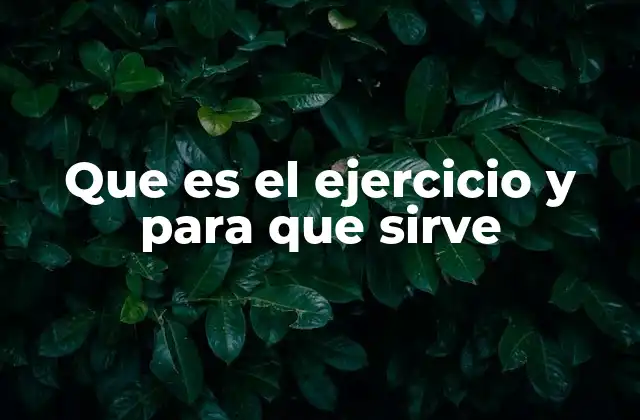 Que es el Ejercicio y para que Sirve