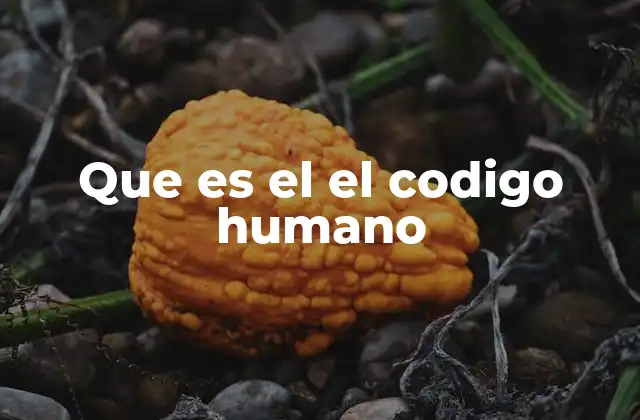 Que es el el Codigo Humano 2 El lenguaje como parte esencial del código humano