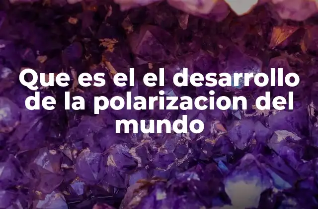 Que es el el Desarrollo de la Polarizacion Del Mundo