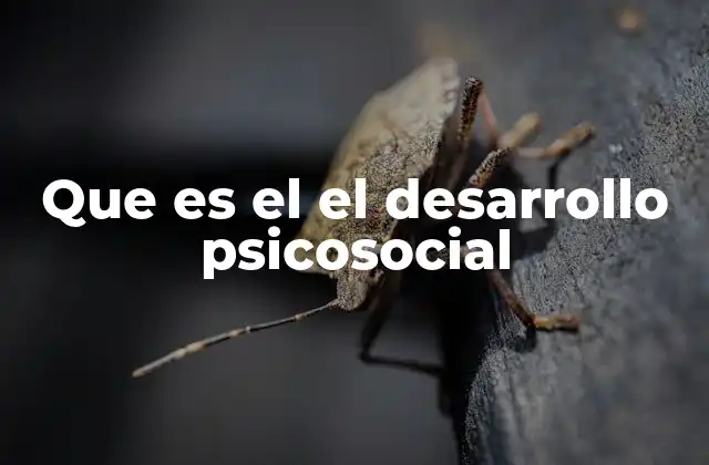 Que es el el Desarrollo Psicosocial