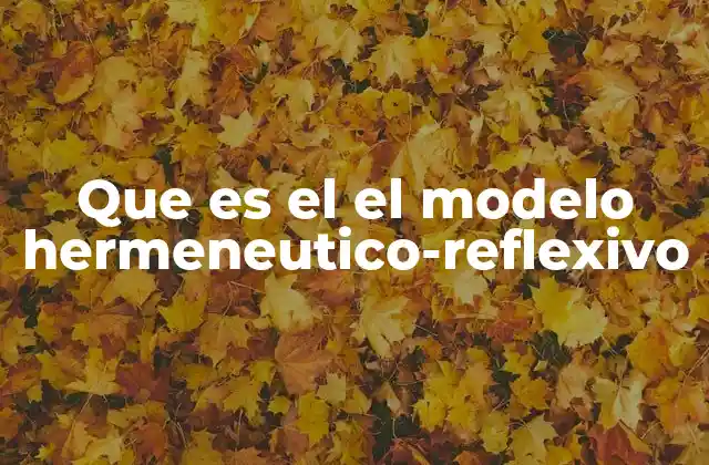 Que es el el Modelo Hermeneutico-reflexivo