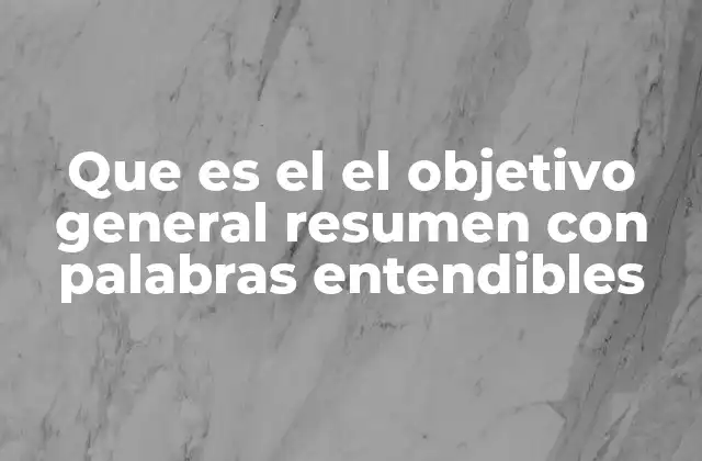 Que es el el Objetivo General Resumen con Palabras Entendibles