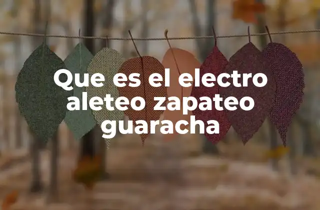 Que es el Electro Aleteo Zapateo Guaracha