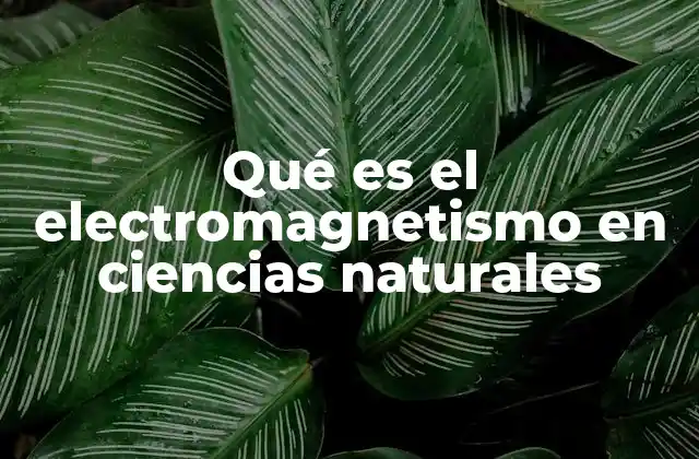 Qué es el Electromagnetismo en Ciencias Naturales