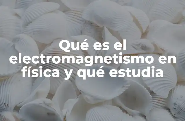 Qué es el Electromagnetismo en Física y Qué Estudia