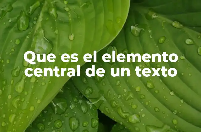 La importancia del enfoque en la comunicación escrita