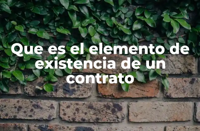Que es el Elemento de Existencia de un Contrato