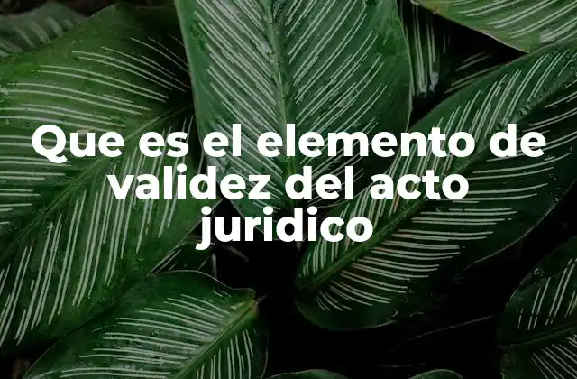 Que es el Elemento de Validez Del Acto Juridico