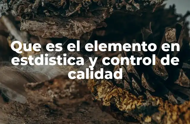 Que es el Elemento en Estdistica y Control de Calidad