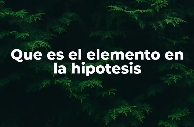 La importancia de los componentes en la formulación de hipótesis