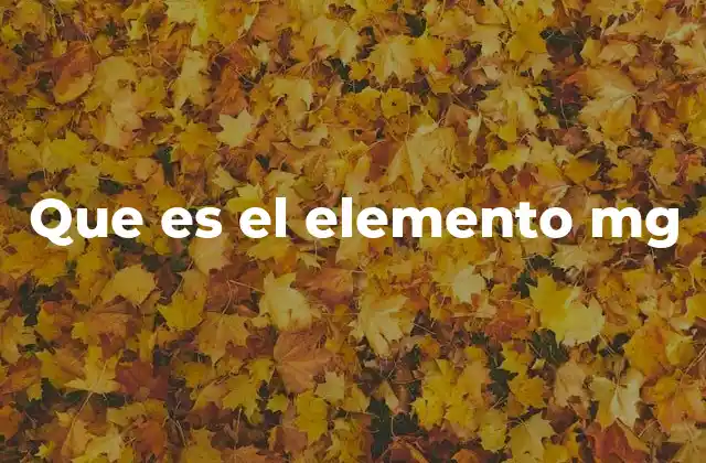 Que es el Elemento Mg