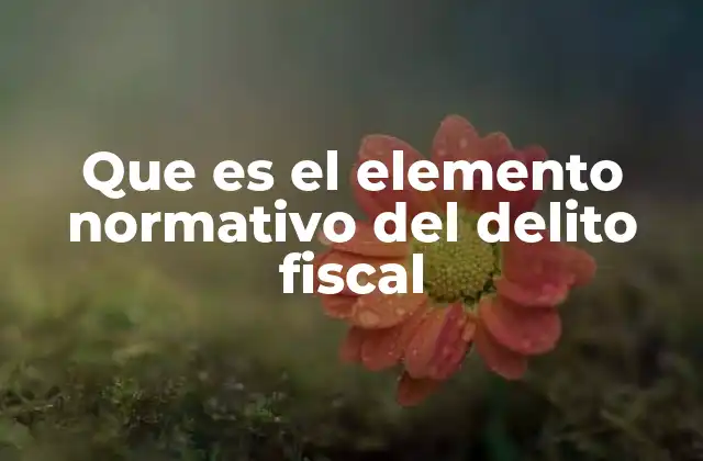 Que es el Elemento Normativo Del Delito Fiscal