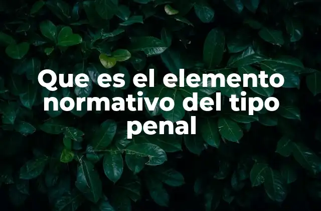 Que es el Elemento Normativo Del Tipo Penal 2 La importancia del elemento normativo en el derecho penal