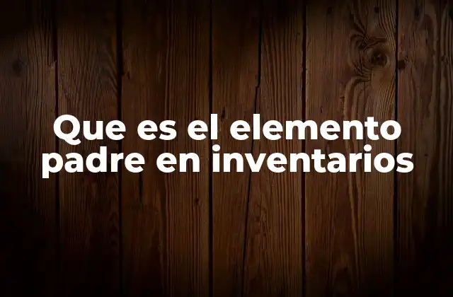Que es el Elemento Padre en Inventarios
