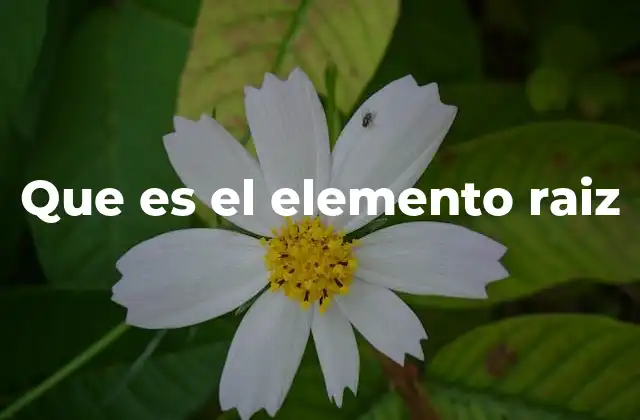 Que es el Elemento Raiz 2 La importancia de tener un único elemento raíz