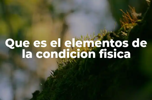 Que es el Elementos de la Condicion Fisica