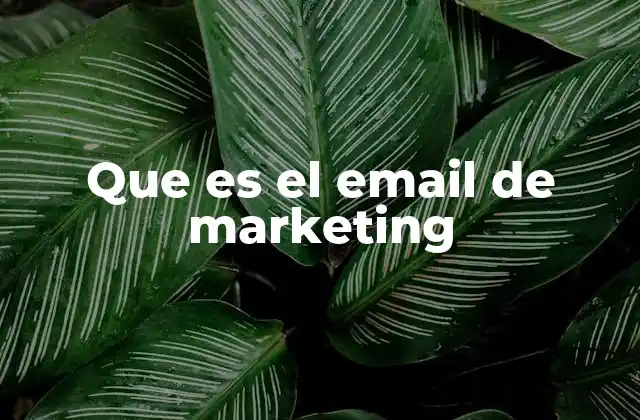 Que es el Email de Marketing