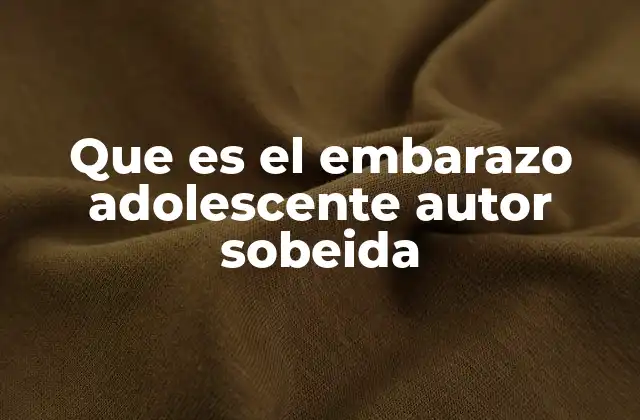 Que es el Embarazo Adolescente Autor Sobeida