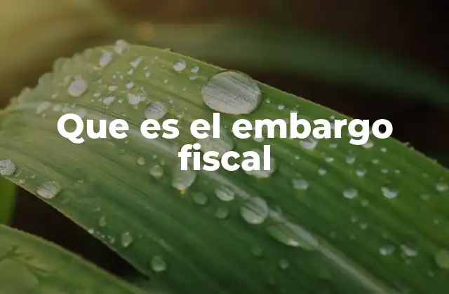 Que es el Embargo Fiscal