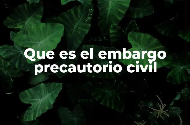 Que es el Embargo Precautorio Civil