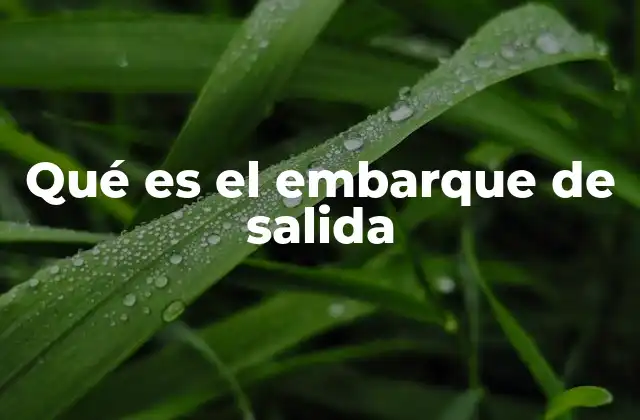 Qué es el Embarque de Salida