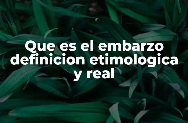 Que es el Embarzo Definicion Etimologica y Real