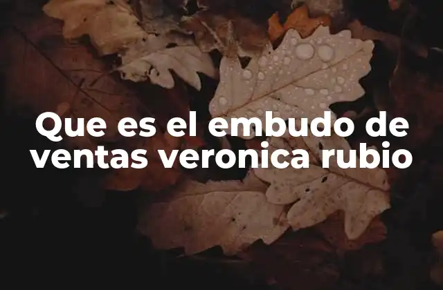 Que es el Embudo de Ventas Veronica Rubio 2 La evolución del embudo de ventas en el marketing digital