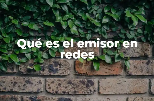 Qué es el Emisor en Redes
