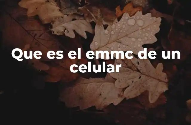 Que es el Emmc de un Celular