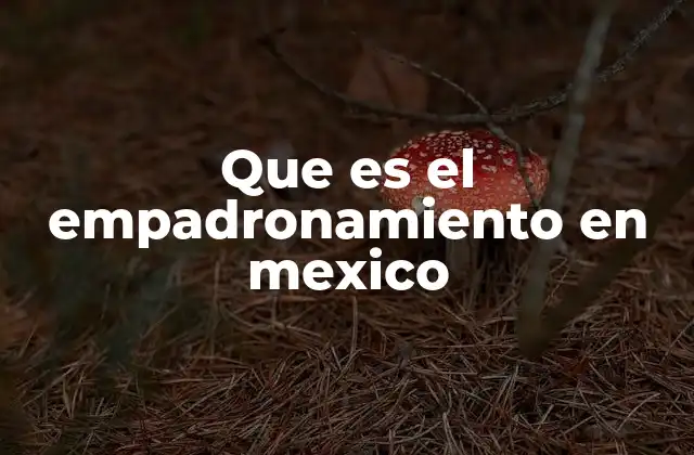 Que es el Empadronamiento en Mexico