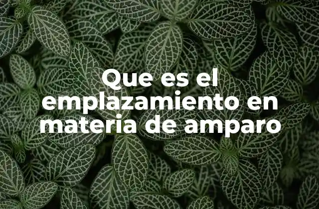 Que es el Emplazamiento en Materia de Amparo