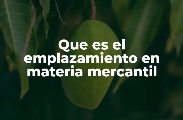 Que es el Emplazamiento en Materia Mercantil