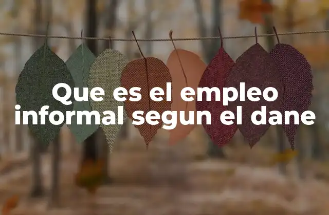 Que es el Empleo Informal Segun el Dane 2 El papel del DANE en la medición del empleo informal