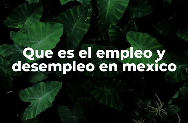 Que es el Empleo y Desempleo en Mexico