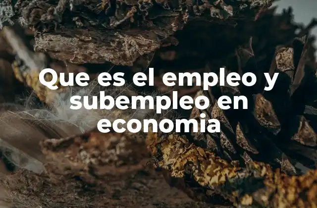 Que es el Empleo y Subempleo en Economia