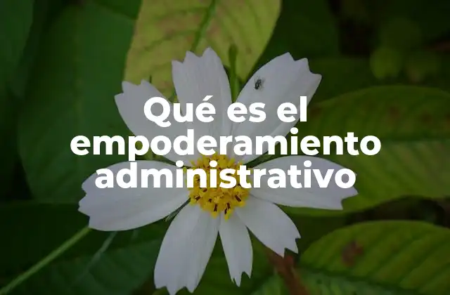 Qué es el Empoderamiento Administrativo